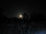 img023.jpeg.small.jpeg