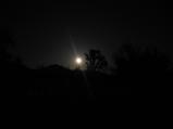 img024.jpeg.small.jpeg