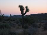 img033.jpeg.small.jpeg