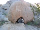 img035.jpeg.small.jpeg