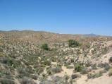 img083.jpeg.small.jpeg