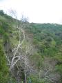 img140.jpeg.small.jpeg