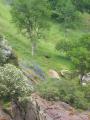 img143.jpeg.small.jpeg