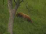 img144.jpeg.small.jpeg