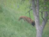 img145.jpeg.small.jpeg