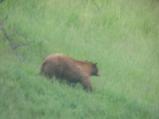 img146.jpeg.small.jpeg