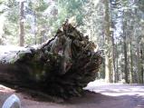 img154.jpeg.small.jpeg