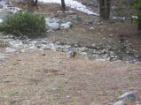 img160.jpeg.small.jpeg