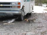 img161.jpeg.small.jpeg