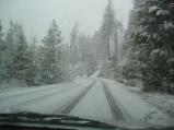 img175.jpeg.small.jpeg