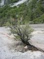 img187.jpeg.small.jpeg