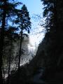 img205.jpeg.small.jpeg