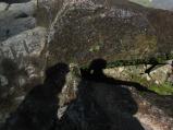 img213.jpeg.small.jpeg