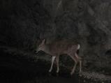 img253.jpeg.small.jpeg