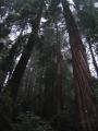 img321.jpeg.small.jpeg