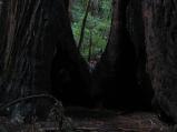 img323.jpeg.small.jpeg