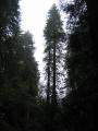 img342.jpeg.small.jpeg