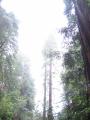 img351.jpeg.small.jpeg
