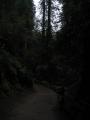 img352.jpeg.small.jpeg