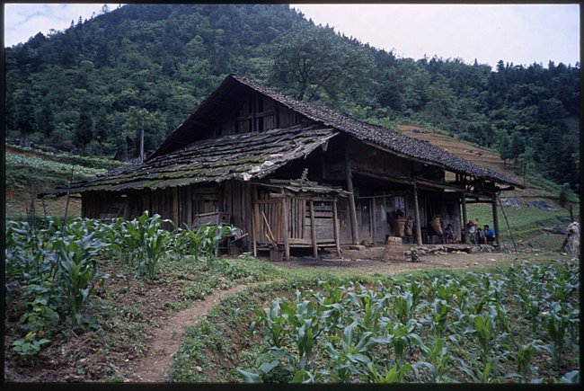 ../previews/005-6_farm1.jpeg.medium.jpeg