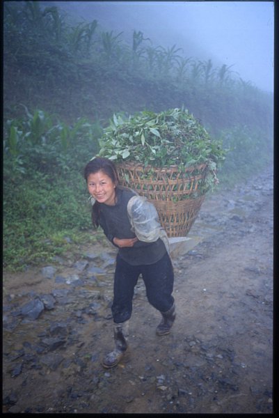 ../previews/007-8_vegsack.jpeg.medium.jpeg
