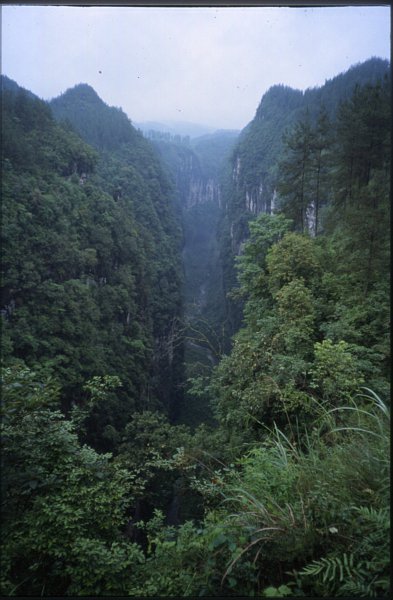 ../previews/037-38_gorge.jpeg.medium.jpeg