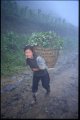 ../thumbnails/007-8_vegsack.jpeg.small.jpeg
