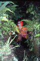 ../thumbnails/028-29_jiang.jpeg.small.jpeg