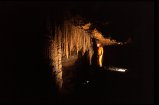 ../thumbnails/033-34_connor.jpeg.small.jpeg