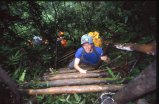 ../thumbnails/045-46_lev_ladder.jpeg.small.jpeg