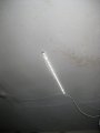 thumbnails/007-IMG_5420.JPG.small.jpeg