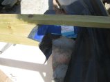 ../thumbnails/192-image00347.jpg.small.jpeg
