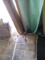 ../thumbnails/257-IMG_3892.JPG.small.jpeg