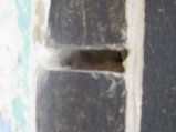 ../thumbnails/289-IMG_3927.JPG.small.jpeg