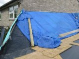 ../thumbnails/345-IMG_3984.JPG.small.jpeg