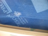 ../thumbnails/379-IMG_4031.JPG.small.jpeg