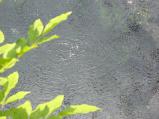 img020.jpeg.small.jpeg