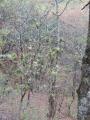 img027.jpeg.small.jpeg