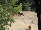 img030.jpeg.small.jpeg