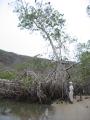 img051.jpeg.small.jpeg