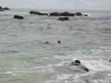 img054.jpeg.small.jpeg