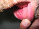 img063.jpeg.small.jpeg