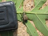 img076.jpeg.small.jpeg
