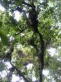 img079.jpeg.small.jpeg