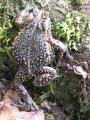 img082.jpeg.small.jpeg