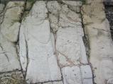 img100.jpeg.small.jpeg