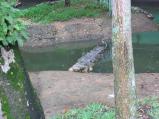 img119.jpeg.small.jpeg