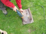 picture thumbnail