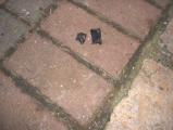 img038.jpeg.small.jpeg
