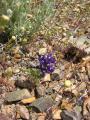 img024.jpeg.small.jpeg